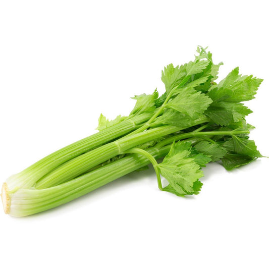 Celeri  [1 BOTTE]